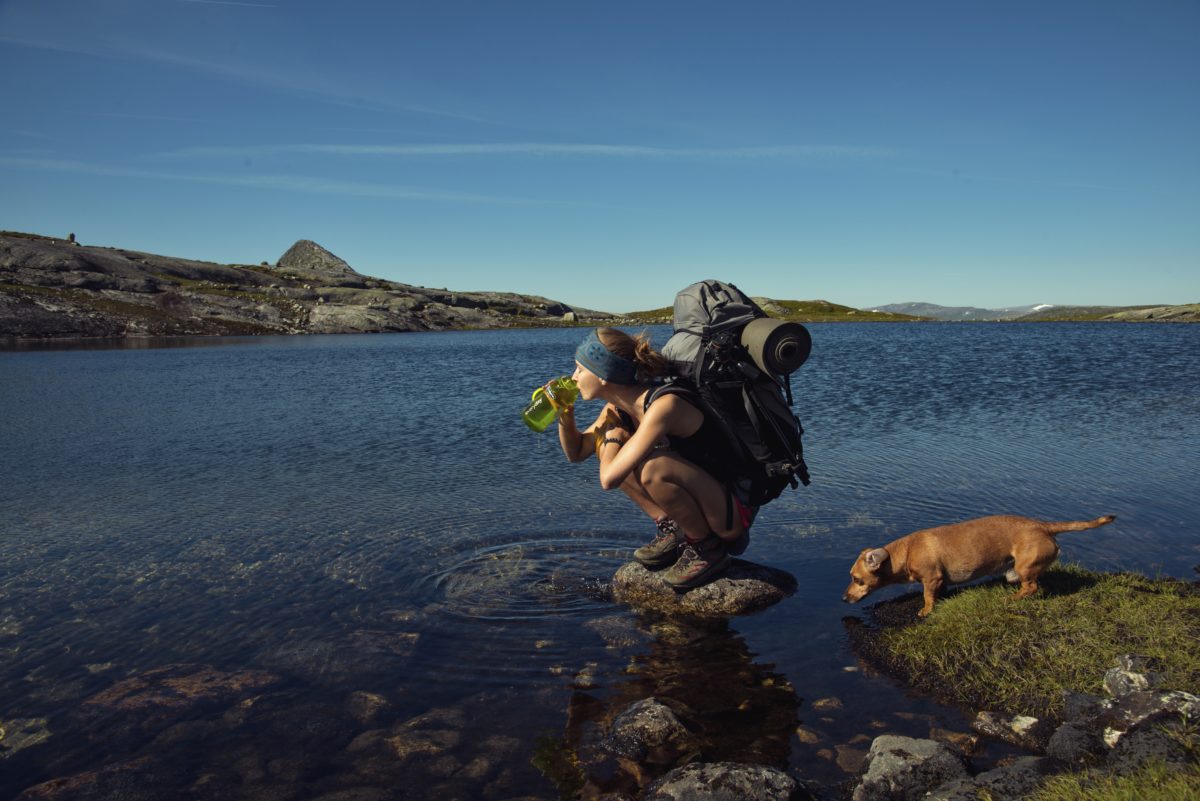 Trekking and Wild Food in Børgefjell National Park - Wild 